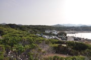DSC_0207.jpg